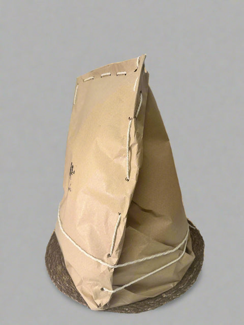 Nachhaltige Windeltorte – Umweltfreundlich, Bio & Unisex - Small Lights Shop